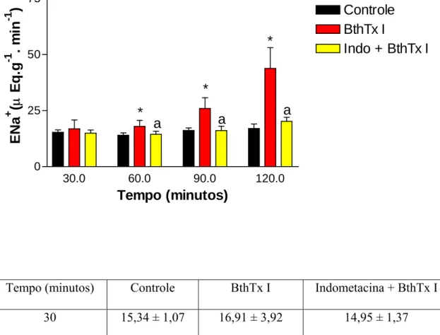 Figura 21 – Efeitos renais promovidos pela miotoxina I purificada do veneno da  serpente Bothrops jararacussu (BthTx I) (05  µ g/mL)  e indometacina (indo) (10  µ g/mL)  + BthTx I no sódio excretado (ENa + )