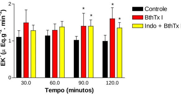 Figura 22 – Efeitos renais promovidos pela miotoxina I purificada do veneno da  serpente Bothrops jararacussu (BthTx I) (05  µ g/mL)  e indometacina (indo) (10  µ g/mL)  + BthTx I no potássio excretado ( EK + )