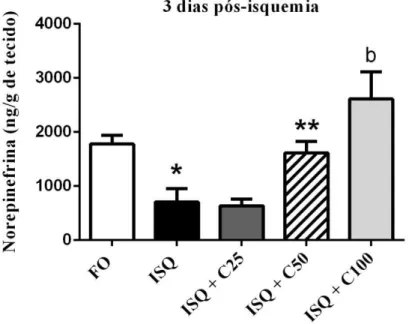 Figura 12 - Efeitos do tratamento por 3 dias de curcumina (25, 50 e 100mg/kg, vo) sobre as concentrações  de norepinefrina em corpo estriado de ratos após serem submetidos à isquemia cerebral global através de  HPLC