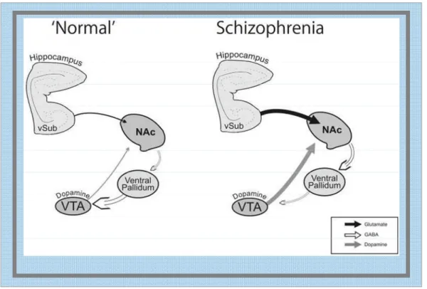 Figura 9: Esquema alusivo ao controle irregular do sistema dopaminérgico na esquizofrenia  Fonte: LODGE; GRACE, 2008
