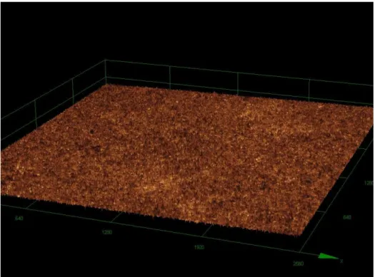 Figura  05:  Imagem  tridimensional  de  microscopia  confocal  a  laser  com  aumento  de  107  vezes  de  titânio puro,  grupo gás de argônio.