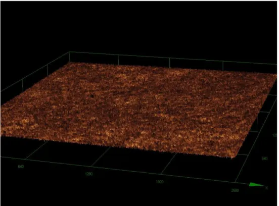 Figura  06:  Imagem  tridimensional  de  microscopia  confocal  a  laser  com  aumento  de  107  vezes  de  titânio puro,  grupo plasma de argônio
