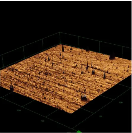 Figura 07:  Imagem  tridimensional  de  microscopia  confocal  a  laser  com  aumento  de  107  vezes  da  feldspática,  grupo sem trtamento. 