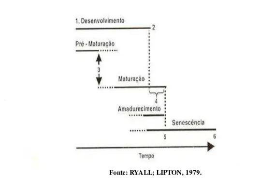 Figura  2.  Fases  do  desenvolvimento  dos  frutos:  início  da  formação  da  polpa  (1);  término  do  crescimento  em  tamanho  (2);  início  do  período  de  consumo  (3);  período  ótimo  de  consumo  (4);  predominância  de  reações  catabólicas (5)