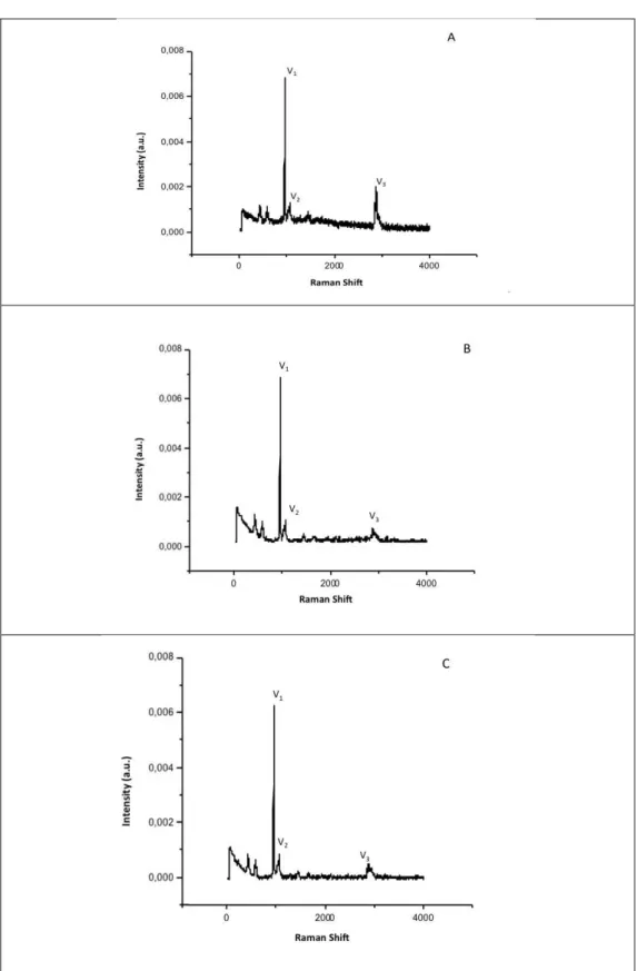 Figure  3.  ENAMEL  Raman  band  at  v 1 =  962  cm -1 characteristic  of  phosphate  vibration  v 2 =  1070 cm -1  characteristic of carbonate vibration and v 3 = 2943 cm -1  characteristic of organic  matrix  vibration