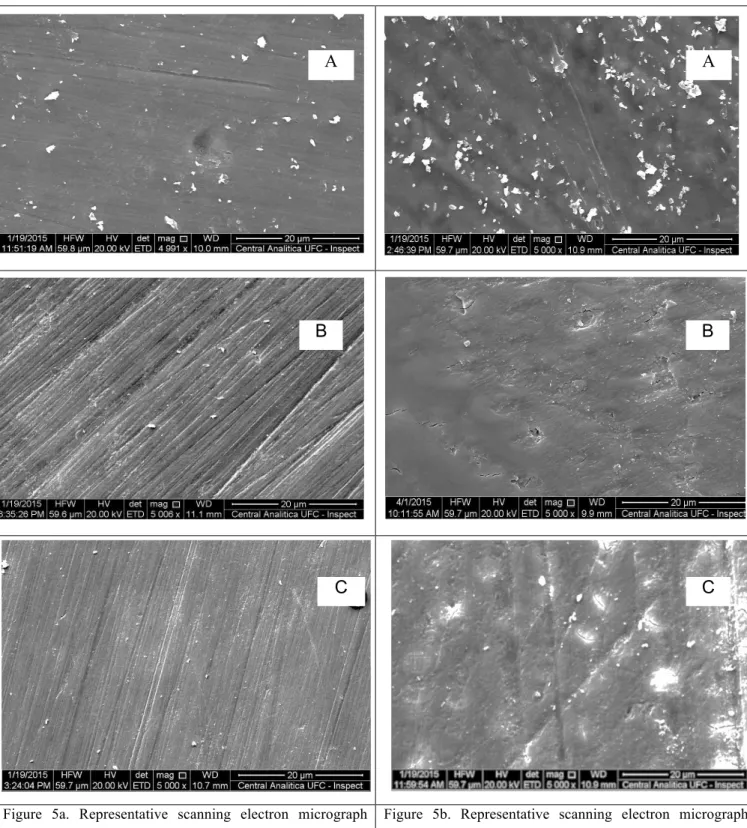 Figure  5a.  Representative  scanning  electron  micrograph   images  of  the  surfasse  morfology  after  treatments  (5000X)