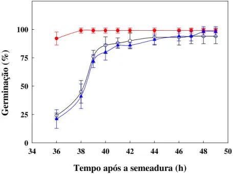 Figura 4. Percentagem de germinação de sementes de milho semeadas em água destilada (       ) e  em presença de H 2 O 2  a 100 mM (      ) e 500 mM (      ), em função do tempo