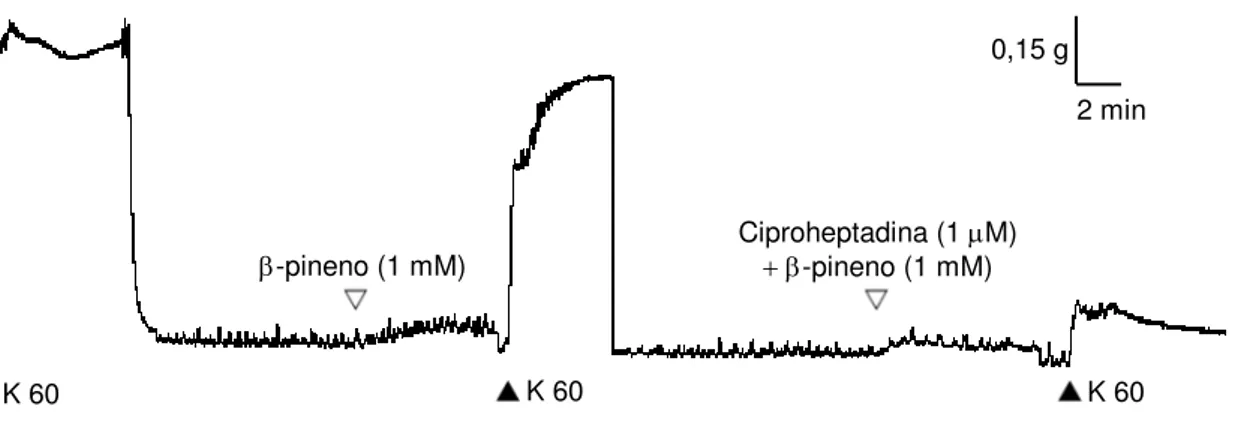 Figura 15 -  Efeito  do  β-pineno  no  tônus  basal  de  fundo  gástrico  isolado  de  rato  na  presença de ciproheptadina