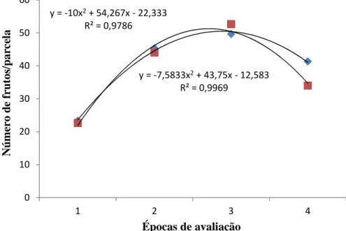 Figura  11:    Modelos  de  regressões  quadráticas  para  o  número  de  frutos.  Testemunha  (T1)  x  Tratamento com dois (2) dias antes transplantio (T2), sob quatro avaliações