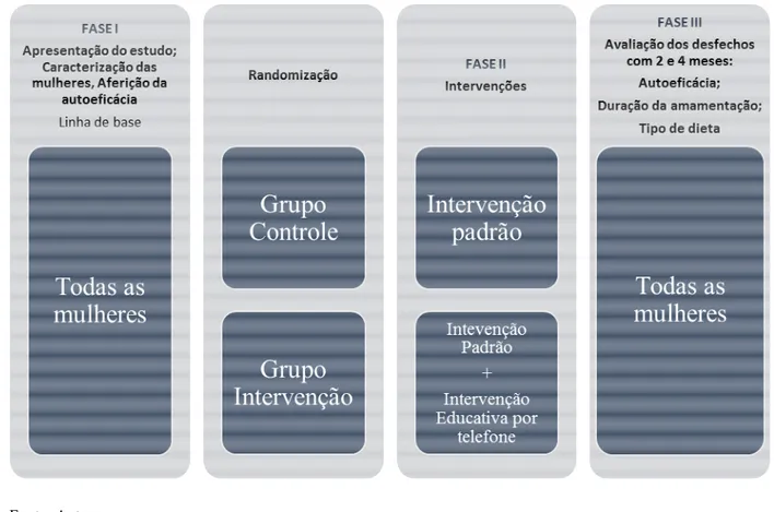 Figura 1 - Representação gráfica das etapas da coleta de dados. Fortaleza – CE, 2016.