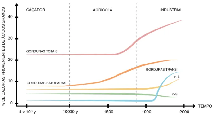 Figura 7- Evolução histórica do consumo de gorduras na dieta humana 