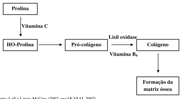 Figura 11- Esquema simplificado da participação da Vitamina C na formação da matriz óssea