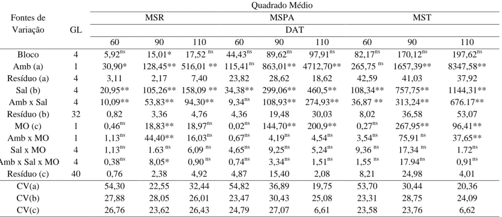 Tabela 1.10 - Resumo da análise de variância para a produção de massa seca de raiz (MSR), massa seca da parte aérea (MSPA),massa seca  total (MST) de plantas de  Morinda citrifolia  em função de diferentes níveis de sais na água de irrigação em dois ambien