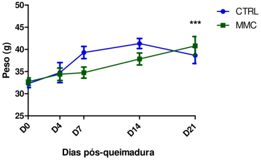 FIGURA 11 – Curva de evolução ponderal dos camundongos Swiss albino nos dias (D) D0 (inicial),  D4, D7, D14 e D21 pós-queimadura (PQ) conforme grupo de tratamento grupo ( CTRL),  controle, tratado com solução salina 0,9%, local, dose única e grupo tratado 