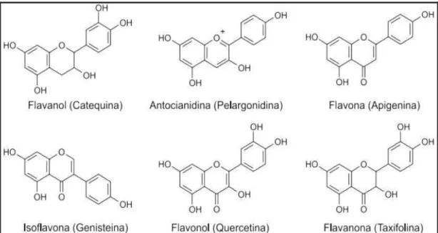FIGURA  10.  Estrutura  das  principais  classes  de  flavonóides  em  plantas.  FONTE: 