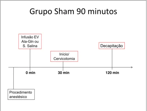 FIGURA 7 - Grupo Sham 90 minutos
