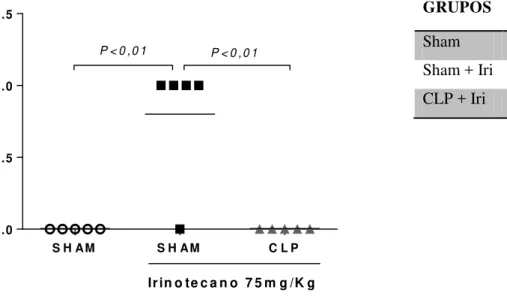 Figura 11. Avaliação dos escores de diarreia no quinto dia experimental após a administração  de irinotecano  S H AM S H AM C L P0 .00 .51 .01 .5P &lt; 0 ,0 1P &lt; 0 ,0 1 Irin o te c a n o  7 5 m g /K g