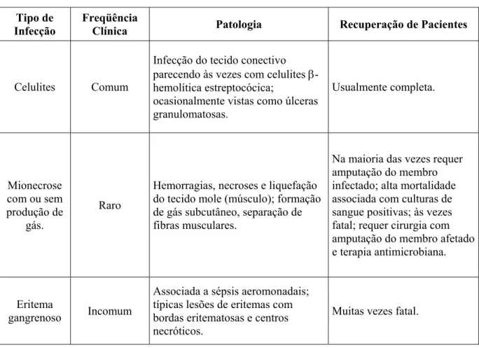 Tabela 3. Características de feridas infecciosas provocadas por Aeromonas sp. 