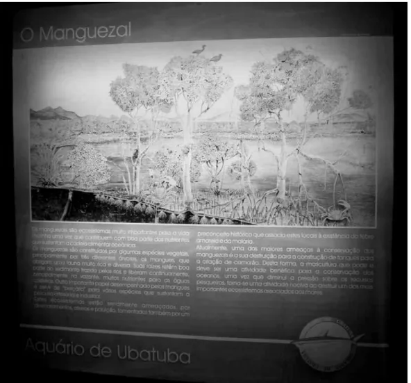Figura 2: Painel luminoso com explicações do ecossistema manguezal permite a leitura em um ambiente de baixa  iluminação (acervo pessoal de Maurício M