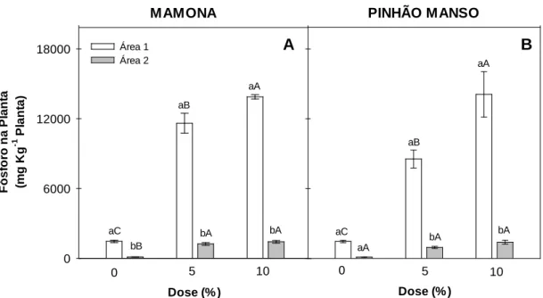 Figura 4. Fósforo na parte aérea das plantas de feijão nas áreas 1 (área sobrepastejo) e 2  (área  de exclusão), submetidas à diferentes doses de torta de mamona (A) e de  pinhão manso (B)