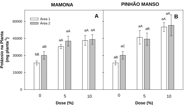 Figura 5. Potássio na parte aérea das plantas de feijão nas áreas 1 (área sobrepastejo) e 2  (área de exclusão), submetidas à diferentes doses de torta de mamona (A) e de  pinhão manso (B)
