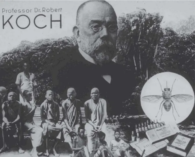 Figura 1: Robert Koch, enfermos, mosca tsé-tsé e ampolas do medicamento Bayer 205. Fotomontagem (Robert Koch…, s.d.)
