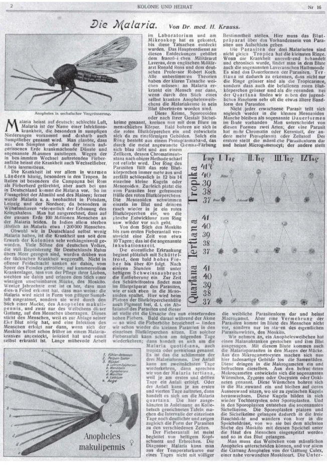 Figura 3: A malária foi tema de artigo de divulgação científica, de autoria do médico H