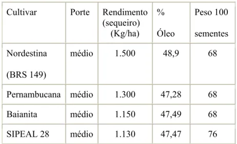 Tabela 3 - Características de alguns cultivares da mamona. 