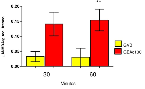 FIGURA 14 -  Efeitos do trauma anestésico e da eletroacupuntura sobre as concentrações  teciduais (hepáticas)  de TBARS (µMol MDA/ml) em ratos submetidos à eletroacupuntura (100Hz, 30  minutos)