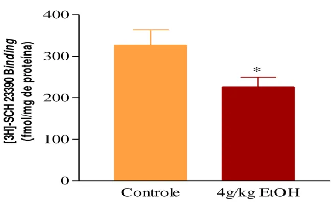 Figura 3 - Efeito do etanol sobre os filhotes de ratas administrado no período pré- pré-gestacional,  gestacional  até  o  desmame  na  diminuição  de  receptores  D1  do  hipocampo  analisado  conforme  técnica  de  Binding,   detalhada  em  materiais  e 