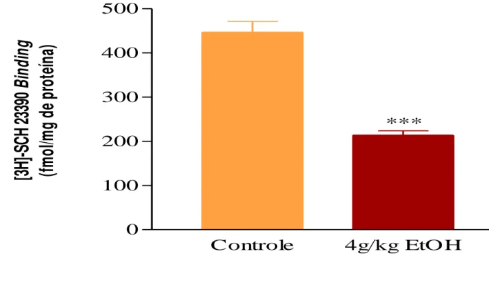 Figura 4 - Efeito do etanol sobre os filhotes de ratas administrado no período pré- pré-gestacional, gestacional até o desmame na diminuição de receptores D1 do núcleo  da  base  analisado  conforme  técnica  de  Binding,   detalhada  em  materiais  e  mét