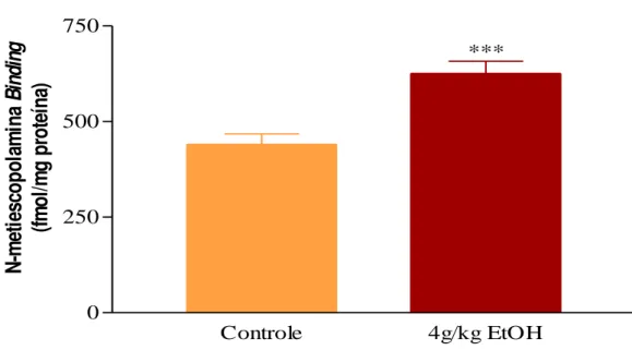 Figura 8 - Efeito do etanol sobre os filhotes de ratas administrado no período pré- pré-gestacional,  gestacional  até  o  desmame  no  aumento  de  receptores  M 1   +  M 2   do  núcleo da base analisado conforme técnica de  Binding,  detalhada em materia