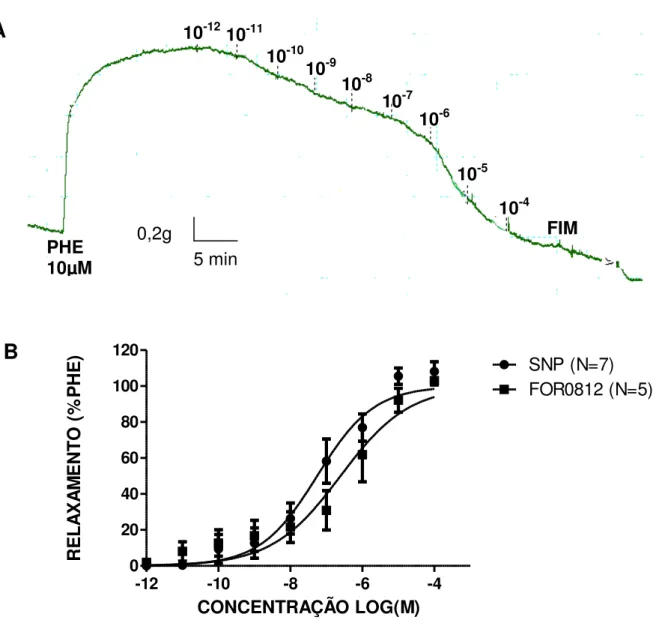 Figura 11. (A)Registro farmacomecânico representativo do relaxamento induzido por FOR  0812.(B)Efeito relaxante dos composto FOR 0812 e SNP em anéis de aorta precontraídas  com PHE(10µM), nas concentrações de 10 -12  a 10 -4 M