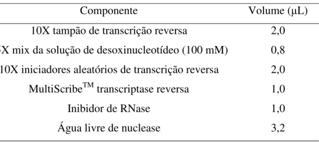 Tabela 3 - Componentes utilizados no preparo na solução de transcrição do RNA. 