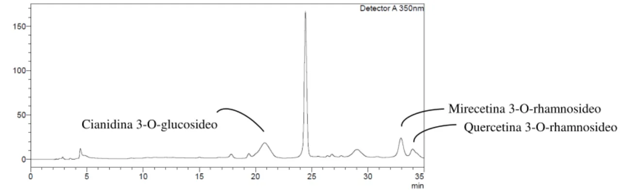 Figura 5 – Cromatograma de identificação dos flavonóides na polpa de pitanga roxa. 