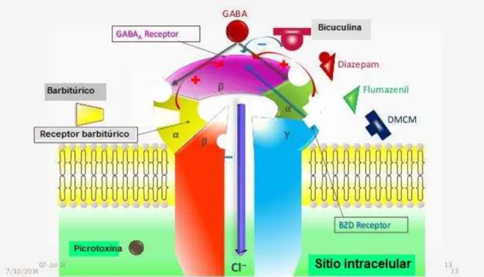 Figura 3 - Receptor GABA A.