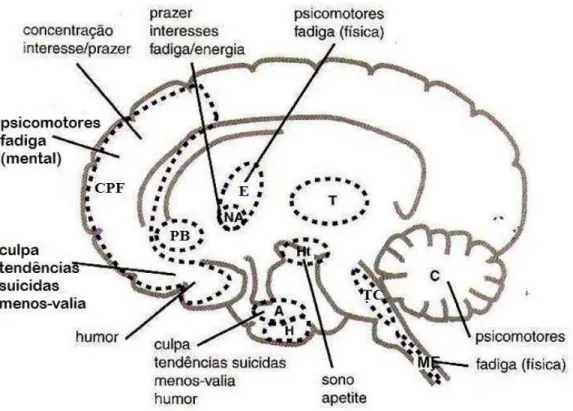 Figura 4 - Correspondência entre sintomas depressivos e circuitos.   