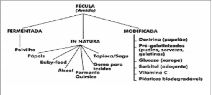 Figura 2. Potencialidades de uso do amido no Brasil. 