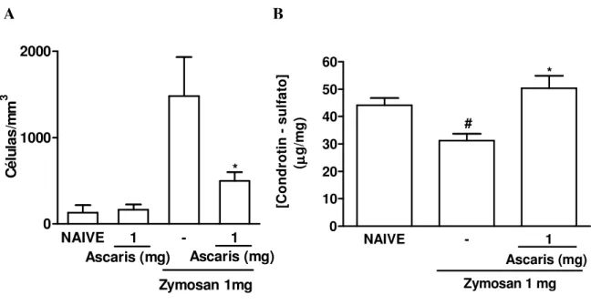 Figura 2 – Efeito do extrato de Ascaris suum na fase crônica da artrite por zymosan em  ratos