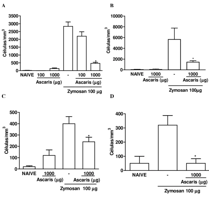 Figura 3- Efeito da administração intraperitoneal e oral do extrato de  Ascaris suum no  influxo  celular  agudo  e  crônico  em  camundongos  na  artrite  por  zymosan  (AZy)