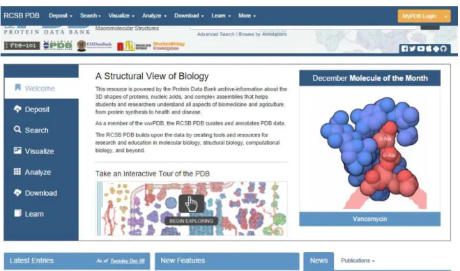 Figura 9  –  Website do banco de dados de proteínas 
