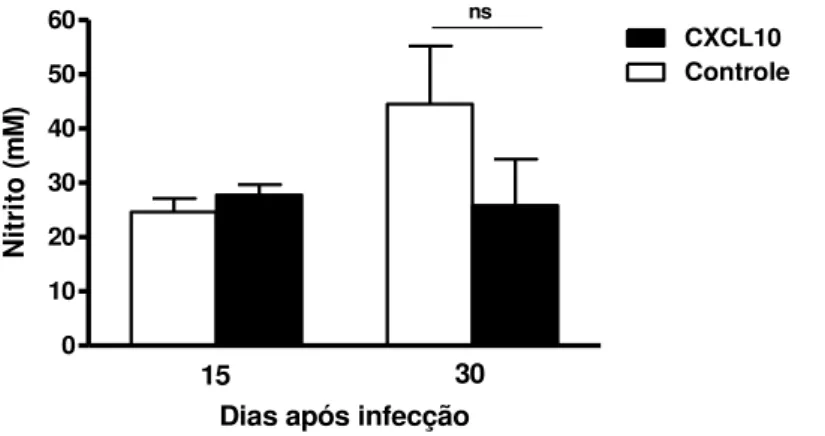 Gráfico  3  -  Produção  de  óxido  nítrico  (NO)  por  células  mononucleadas  de  camundongos  BALB/c tratados in vivo com CXCL10 