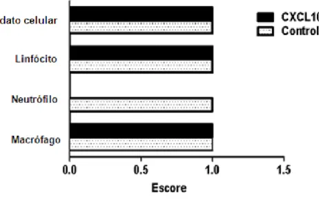 Gráfico 6 - Reação inflamatória na lesão de pata de camundongos BALB/c infectados por  L