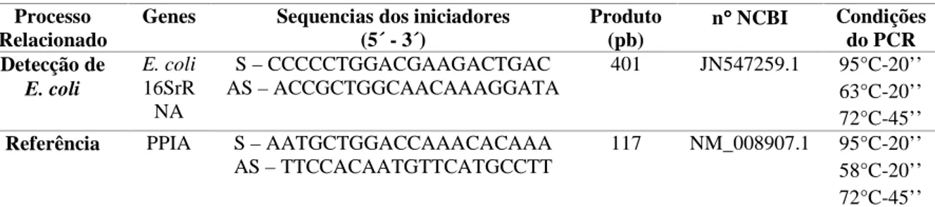Tabela 1 - Detalhamento dos primers utilizados na reação de PCR.