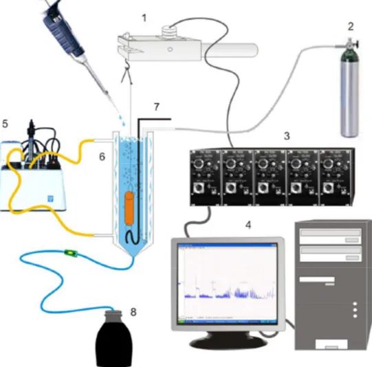 Figura 7 – Esquema simplificado dos equipamentos utilizados nos experimentos de  contratilidade in vitro 