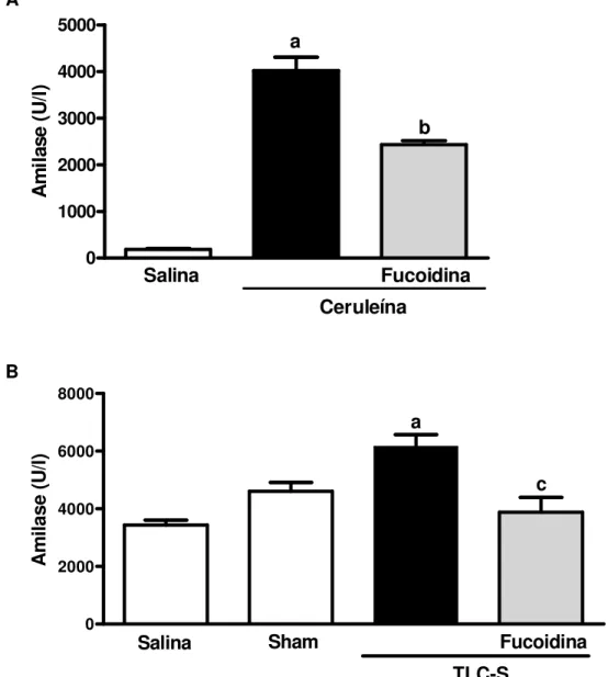 Figura 8 - Efeito da fucoidina sobre os níveis de amilase sérica na pancreatite aguda  010002000300040005000 Salina Fucoidina Ceruleínaa bAmilase (U/l) 02000400060008000 Salina TLC-S FucoidinaShamacAmilase (U/l)