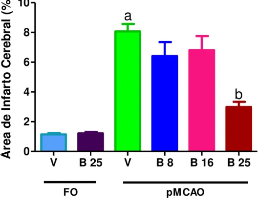 Figura  15:  Efeito  da  boldina  (8,  16,  25  mg/kg)  sobre  o  dano  cerebral  isquêmico  de  camundongos submetidos à pMCAO (n=6/grupo)