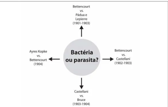Figura 1: Representação esquemática do cerne da controvérsia bactéria-parasita na doença do sono, 1901-1904 (Diagrama elaborado pela autora)