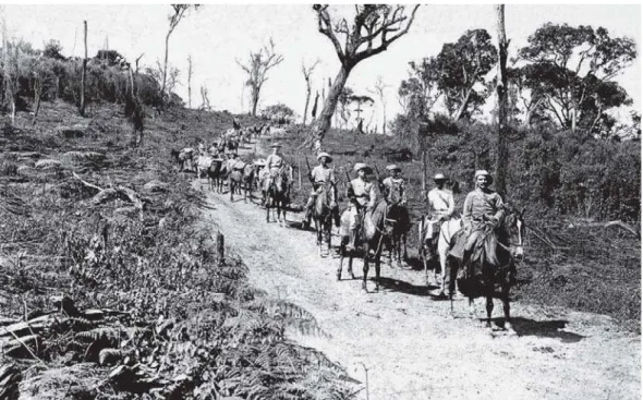 Figura 2: “Pelotão de transporte de gêneros no sertão catarinense, por ocasião da Campanha do Contestado” (Álbum..., imagem 29, 1914-1915)