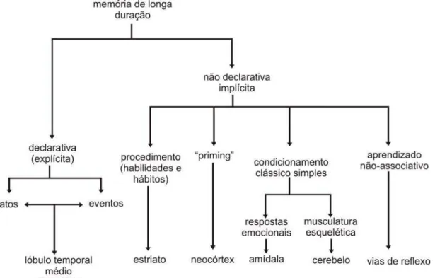 Figura 4 - Taxonomia dos sistemas de memória de longa duração associado às estruturas cerebrais  específicas envolvidas em cada sistema 